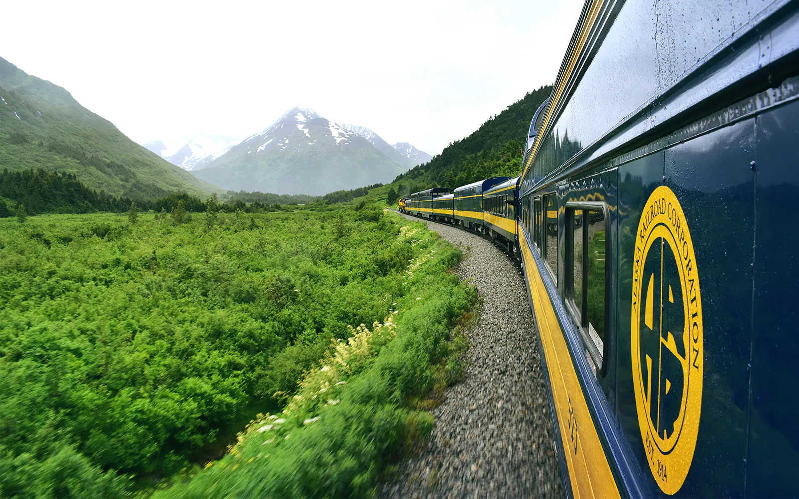 Alaska Railroad train traveling through lush green landscape with mountains in the background.