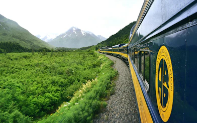 Alaska Railroad train traveling through lush green landscape with mountains in the background.