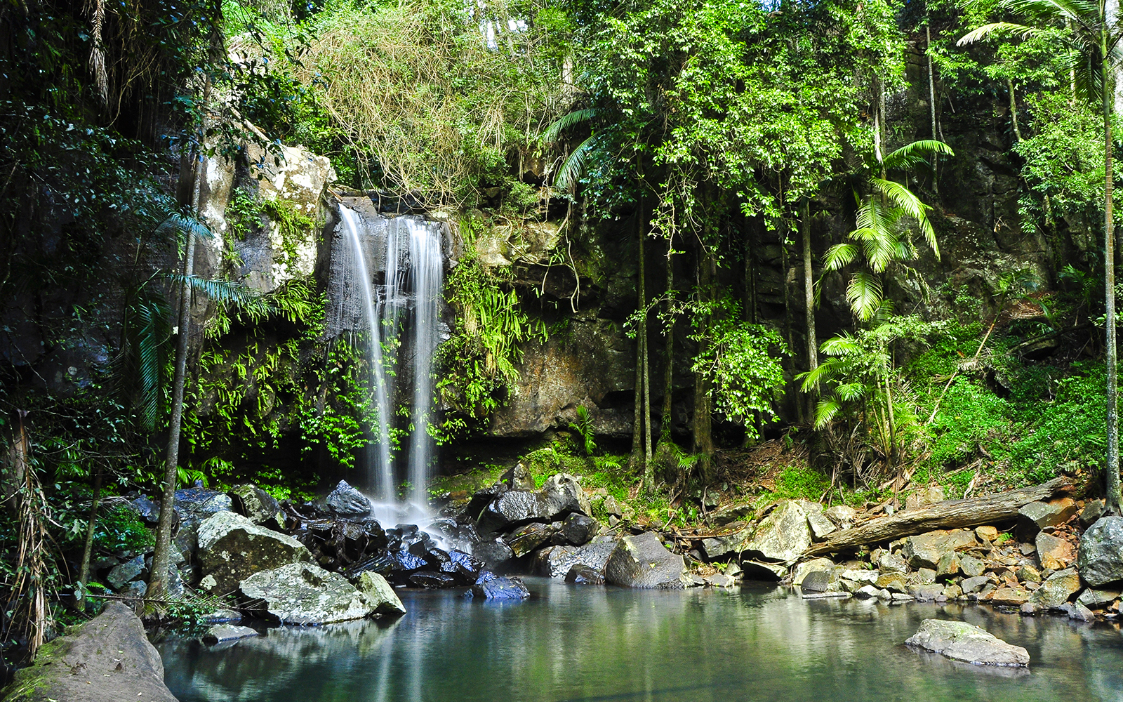 Waterfall surrounded by lush greenery at Tamborine Mountain.