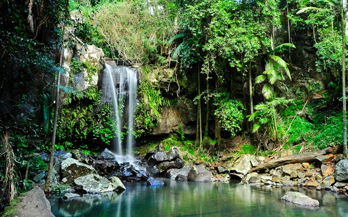 Waterfall surrounded by lush greenery at Tamborine Mountain.