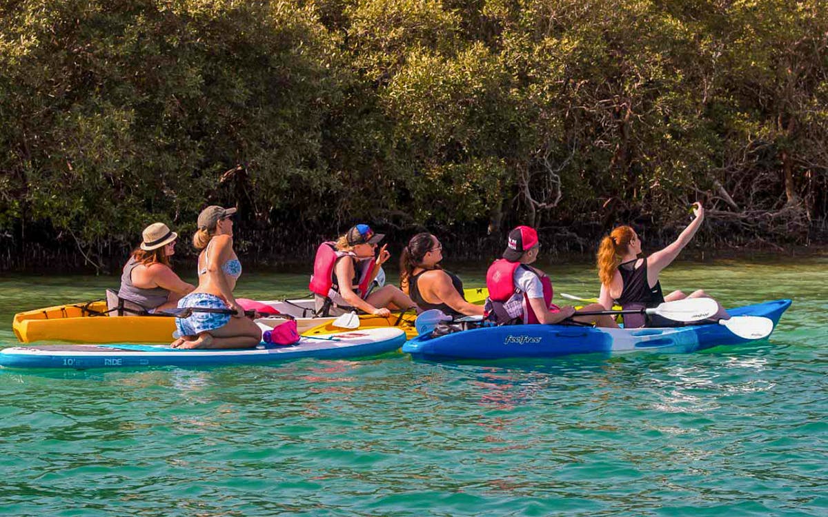 mangrove kayaking tour-2 mangrove kayaking tour-2