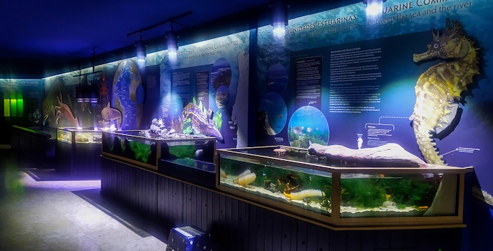 Vasco da Gama Aquarium