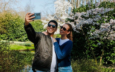 Visitors taking a selfie among blooming cherry blossoms at Keukenhof Gardens, Amsterdam.