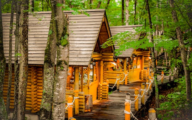 Wooden cabins surrounded by lush forest on a guided tour in Hokkaido from Sapporo.