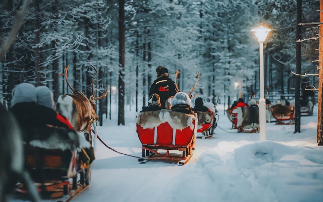 Reindeer sleds traveling through snowy forest in Lapland.