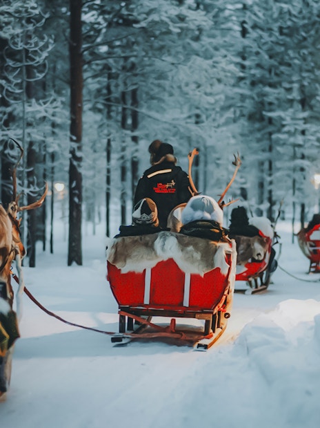 Reindeer sleds traveling through snowy forest in Lapland.