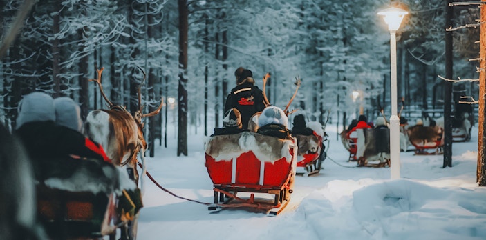Reindeer sleds traveling through snowy forest in Lapland.