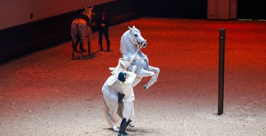 Equestrian performer with rearing horse at Abu Dhabi Royal Equestrian Arts show.