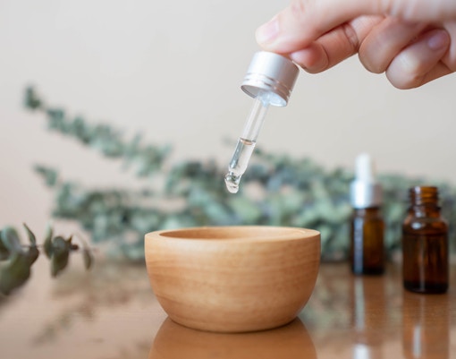 Sydney Opera House with eucalyptus trees in the foreground, highlighting the iconic architecture and natural surroundings.