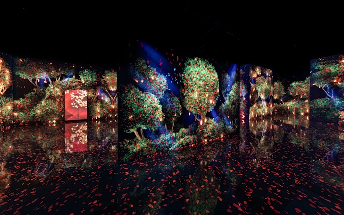 Immersive digital forest display at Arte Museum Jeju with vibrant trees and falling petals.