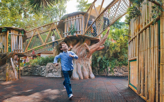 Child enjoying play area with rope bridges at Loro Park, Tenerife.