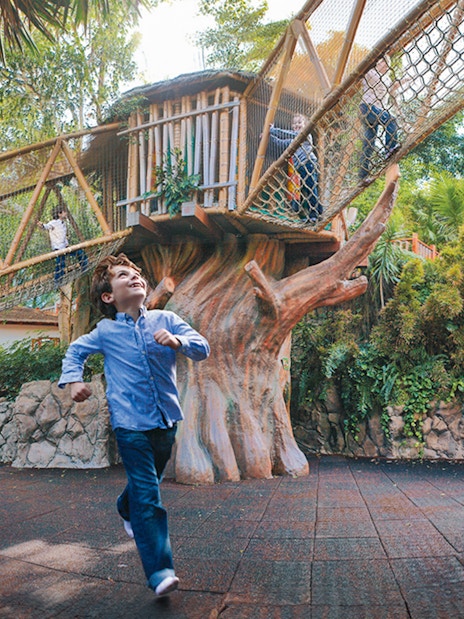 Child enjoying play area with rope bridges at Loro Park, Tenerife.