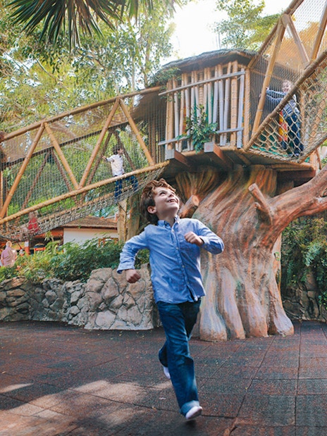 Child enjoying play area with rope bridges at Loro Park, Tenerife.