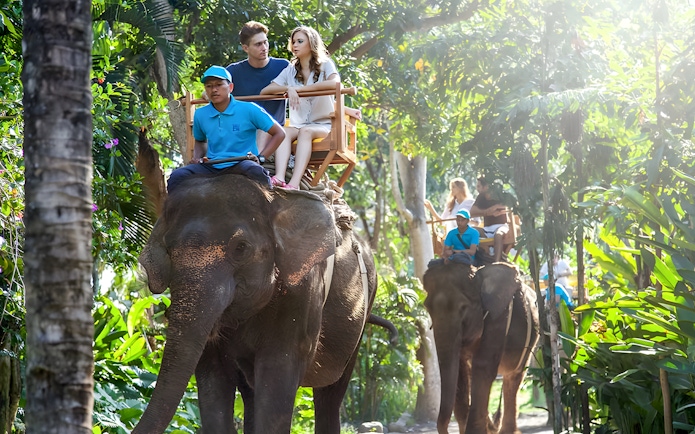 Tourists riding elephants through lush greenery at Bali Zoo, Indonesia.