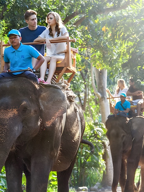 Tourists riding elephants through lush greenery at Bali Zoo, Indonesia.