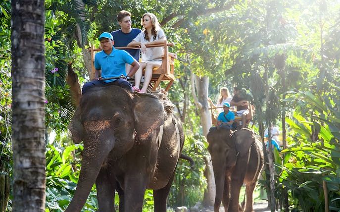 Tourists riding elephants through lush greenery at Bali Zoo, Indonesia.