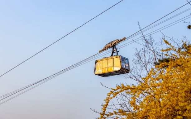 Namsan cable car traveling above trees in Seoul, South Korea.