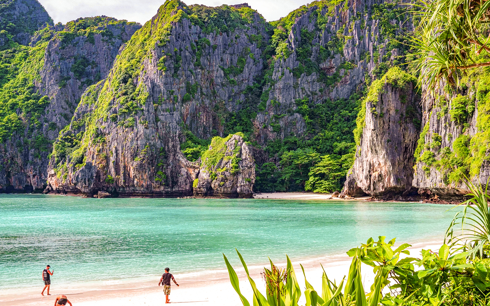 Dramatic limestone cliffs and turquoise waters at Phi Phi Islands, Thailand.