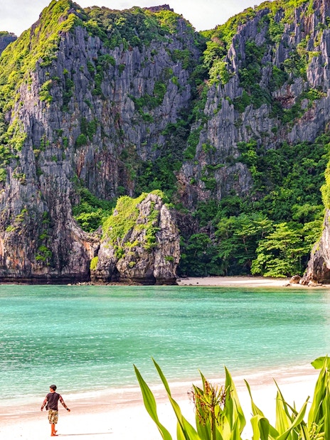 Dramatic limestone cliffs and turquoise waters at Phi Phi Islands, Thailand.
