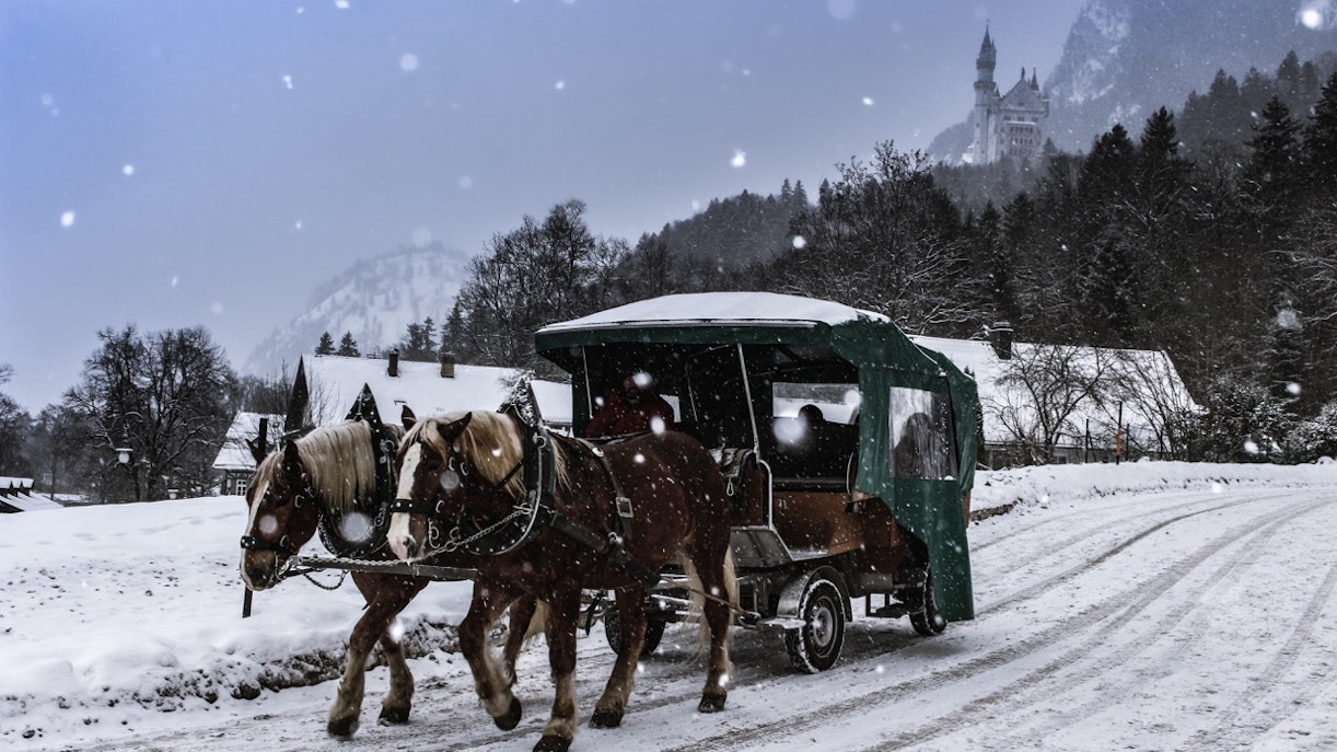 Horse-drawn carriage traveling from Hohenschwangau to Neuschwanstein Castle, Germany.