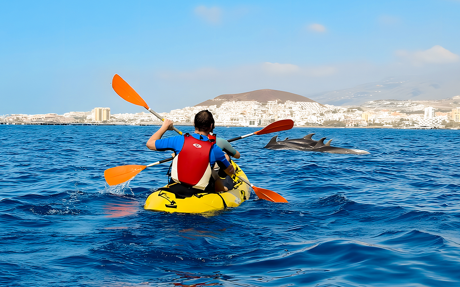 Tourist kayaking near dolphins in Tenerife waters.