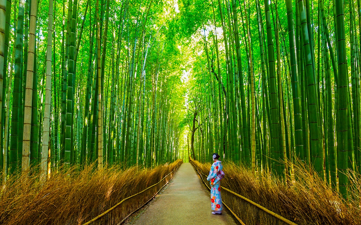 Path through Arashiyama Bamboo Grove, Kyoto, with person in traditional attire.