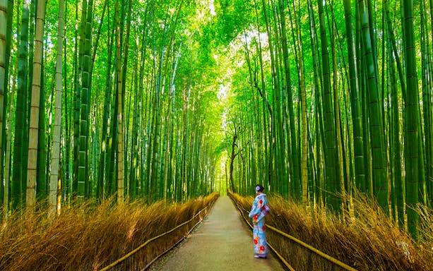 Path through Arashiyama Bamboo Grove, Kyoto, with person in traditional attire.