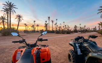Quad bikes in Marrakech palm grove at sunset.