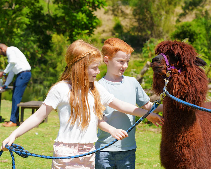 Lamington National Park, O’Reilly’s Rainforest Retreat & Vineyard Tour