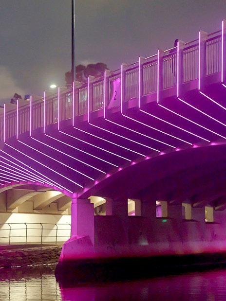 Melbourne bridge illuminated in pink lights during the Spirit of Melbourne Dinner Cruise.