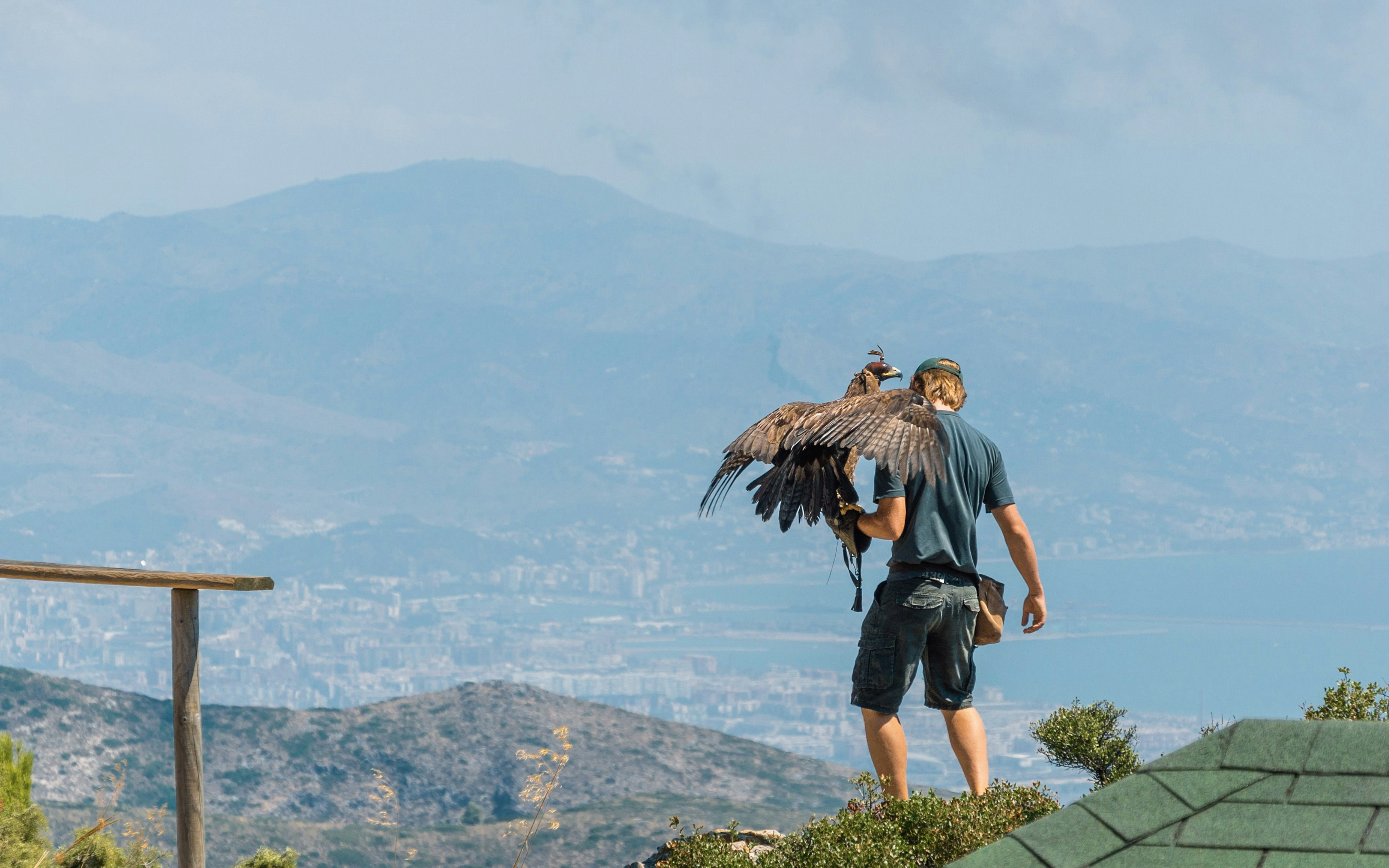 The Birds of Prey show