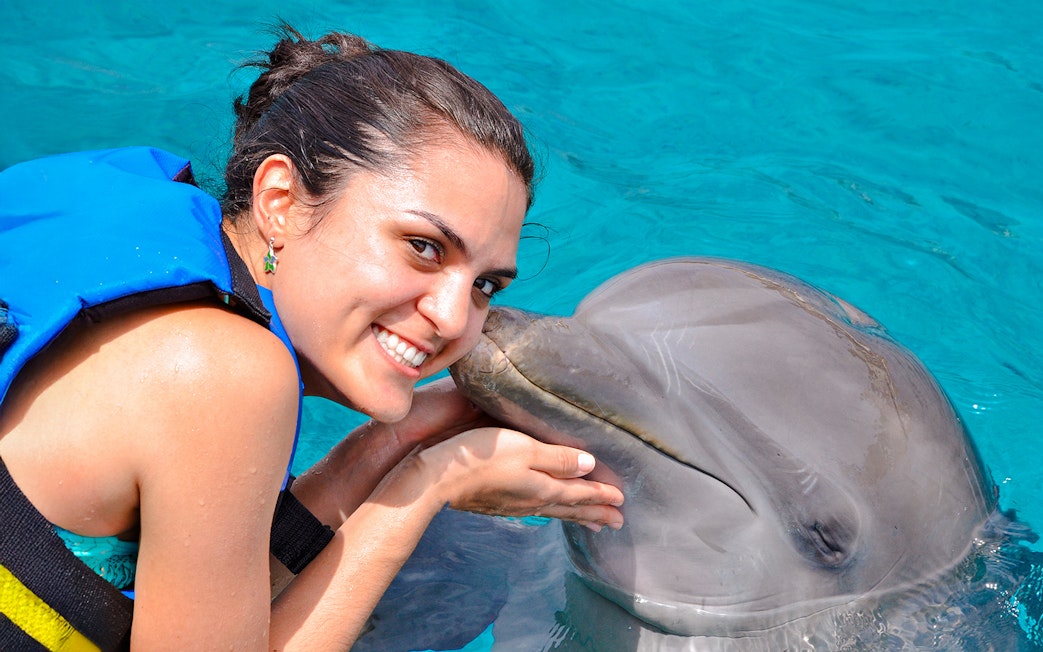 Person interacting with a dolphin at Dolphinarium Pattaya, Thailand.
