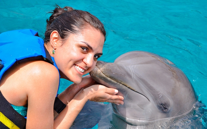 Person interacting with a dolphin at Dolphinarium Pattaya, Thailand.