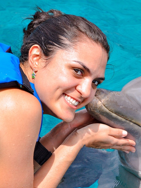 Person interacting with a dolphin at Dolphinarium Pattaya, Thailand.