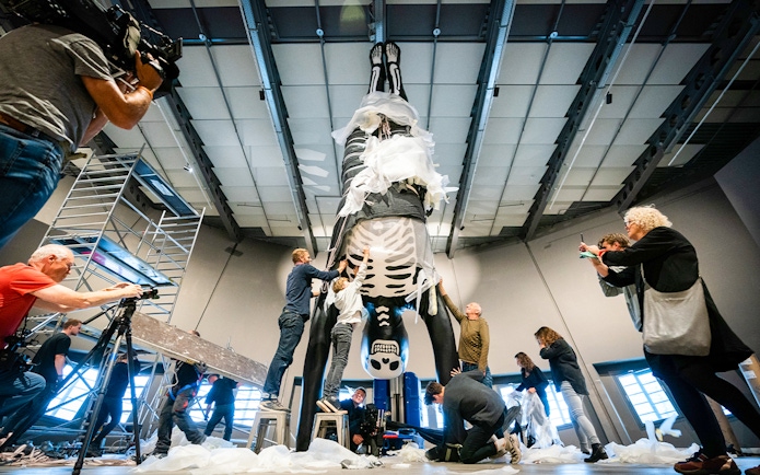 People preparing a large skeleton exhibit at NEMO Science Museum.