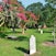 Colonial Park Cemetery