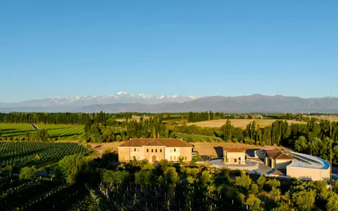 Bodega Krontiras winery in Mendoza, Argentina, surrounded by vineyards with Andes mountains in the background.