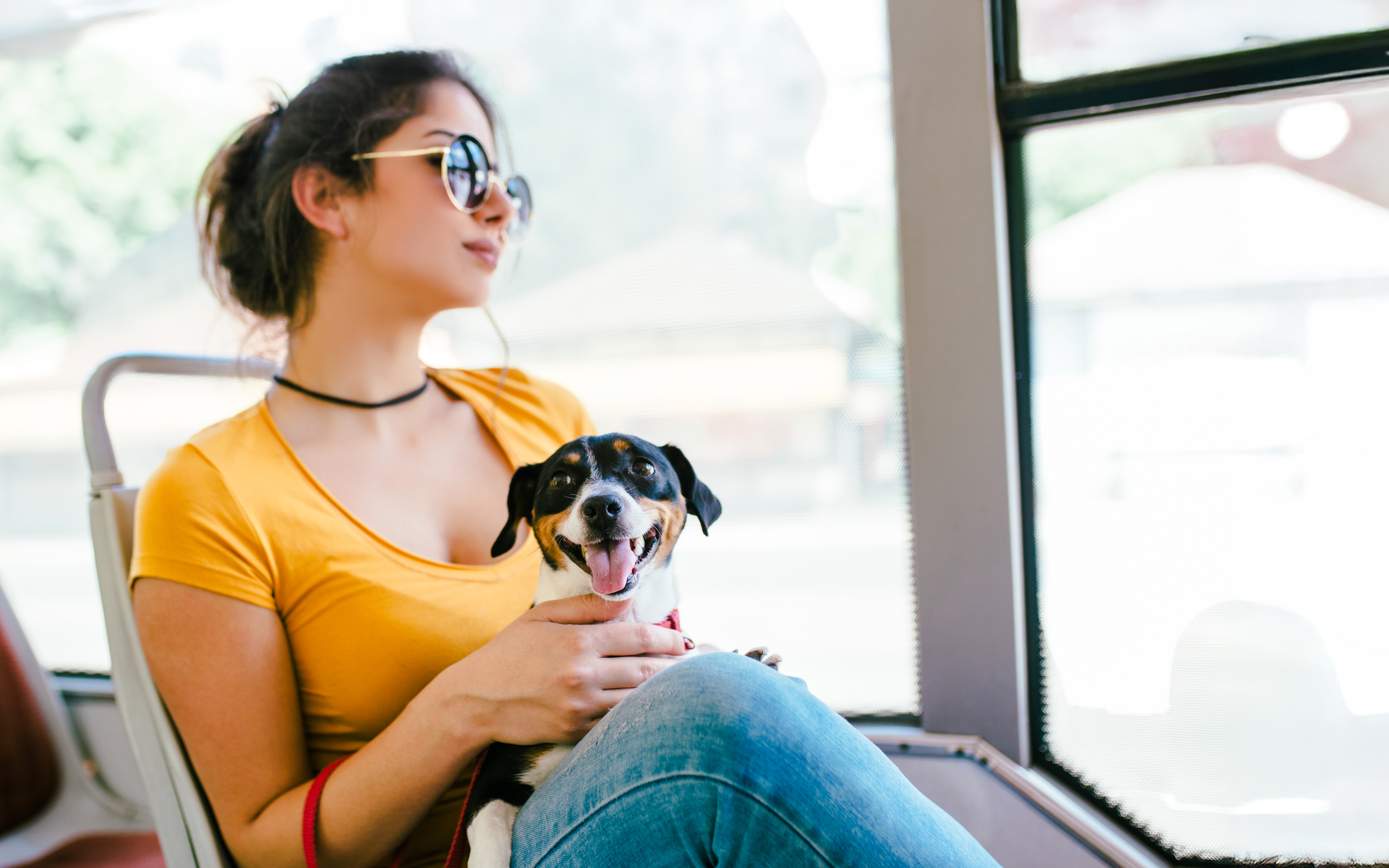 Woman with a dog on a pet friendly bus