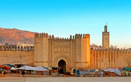 From Fes: Walking Tour of the UNESCO Medina Tanneries & Artisan Workshops