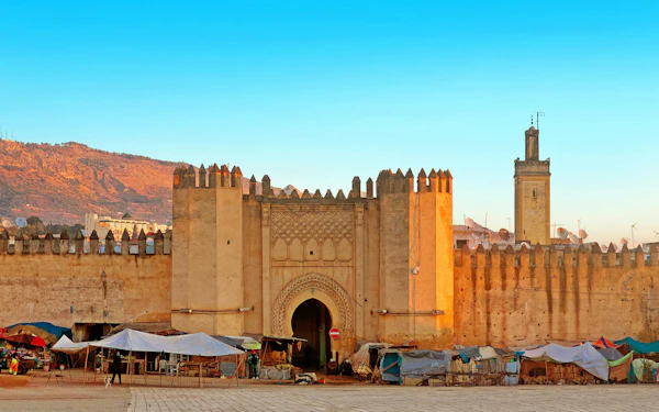 From Fes: Walking Tour of the UNESCO Medina Tanneries & Artisan Workshops