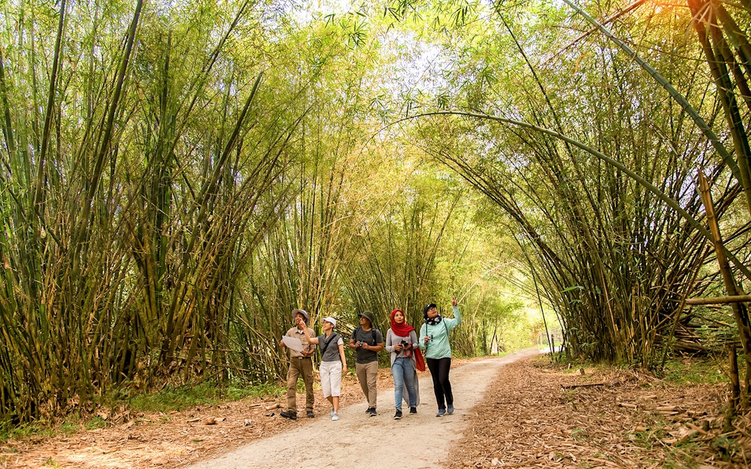 Group walking through bamboo path at Paya Indah Discovery Wetlands, Gamuda Cove.