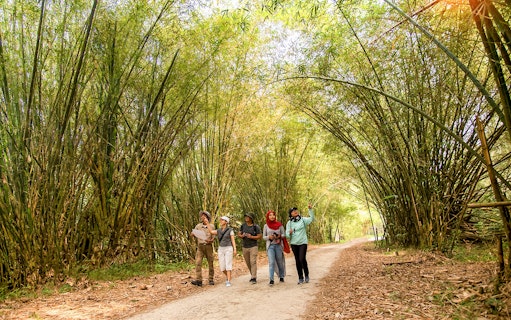 Group walking through bamboo path at Paya Indah Discovery Wetlands, Gamuda Cove.