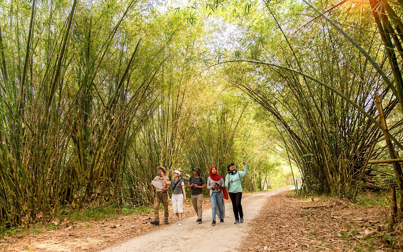 Group walking through bamboo path at Paya Indah Discovery Wetlands, Gamuda Cove.