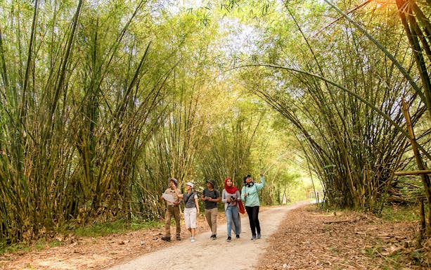 Group walking through bamboo path at Paya Indah Discovery Wetlands, Gamuda Cove.