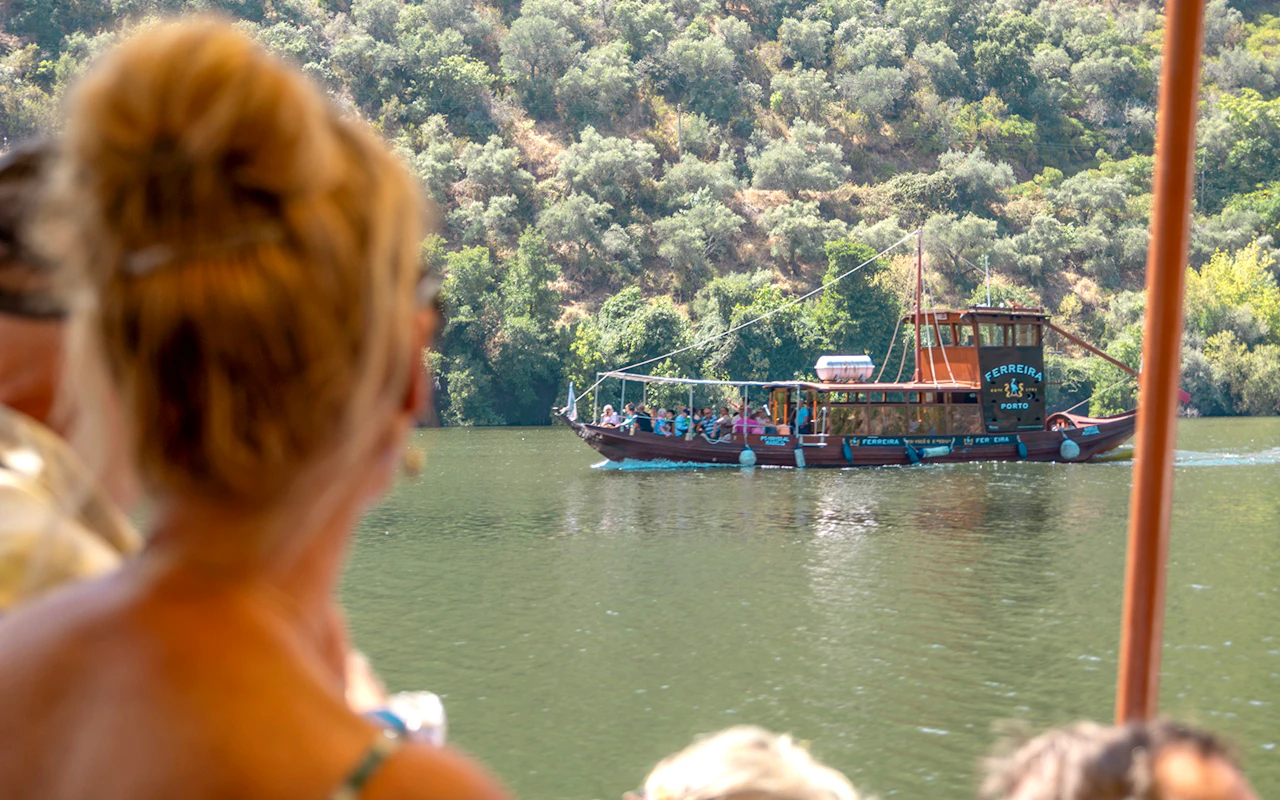 Tour classico della Valle del Douro con crociera di un'ora nel Pinhão, pranzo tradizionale e degustazioni di vino — 7