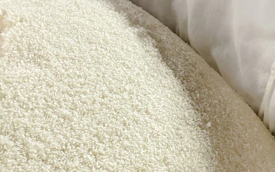 Rice grains used in sake production at Takeno Sake Brewery, Kyoto.