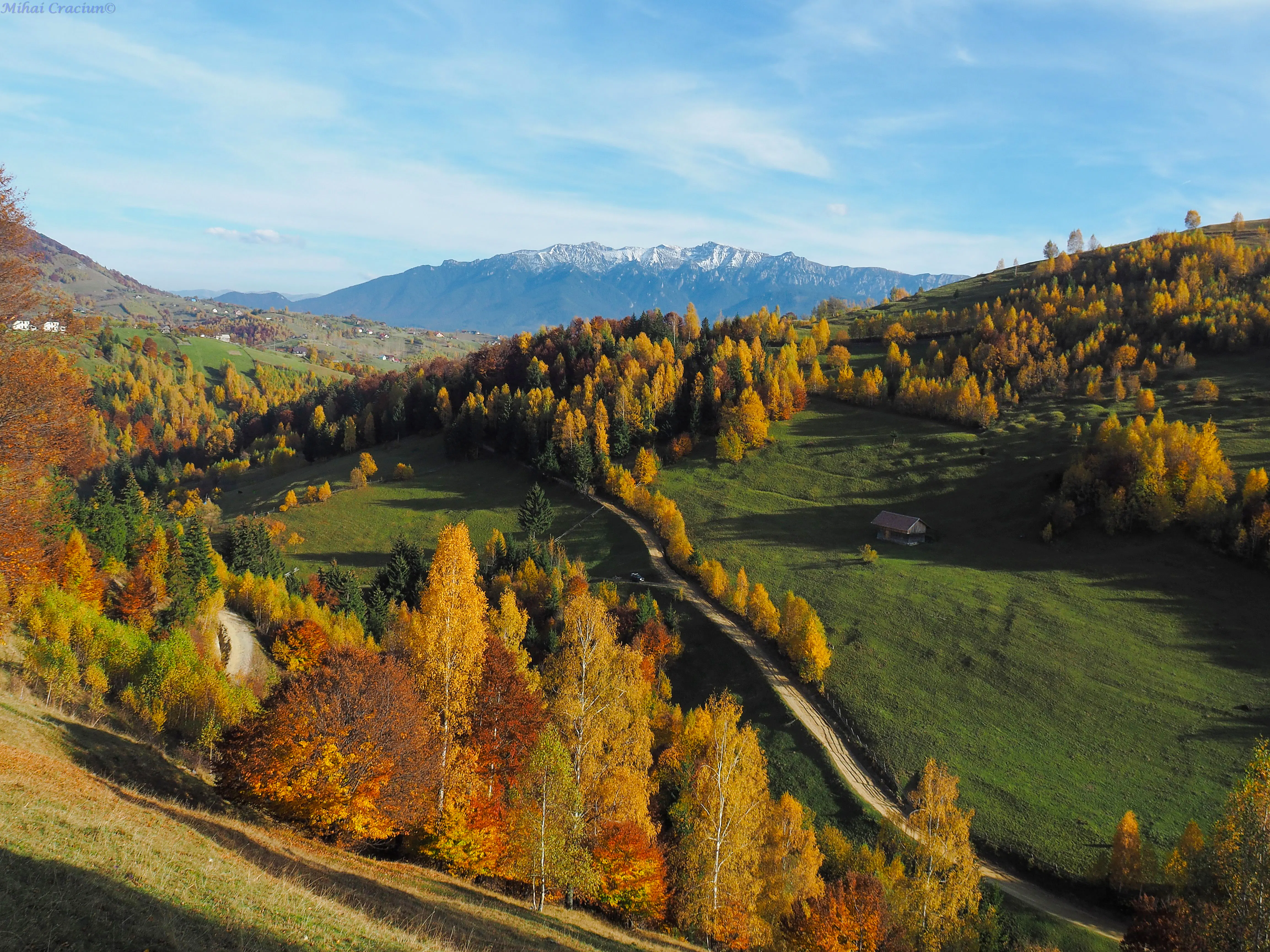 Piatra Craiului National Park autumn landscape with colorful trees and distant mountains, Brasov.