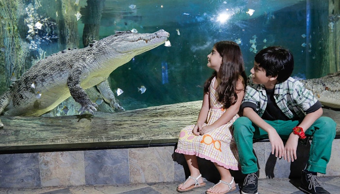 Dubai Aquarium