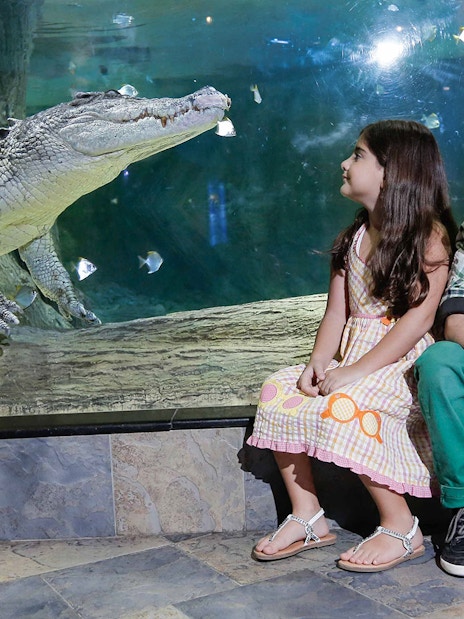 Children observing a crocodile at Dubai Aquarium and Underwater Zoo.