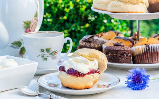 Traditional cream tea with scone, jam, and cream on Cotswold tour.